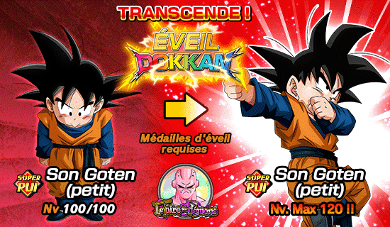 Compte Dokkan Battle Global 109 LR - Android - Prix à Discuter